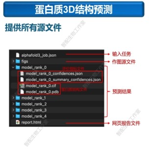 蛋白质3D结构预测/AlphaFold2&3服务/相互作用预测