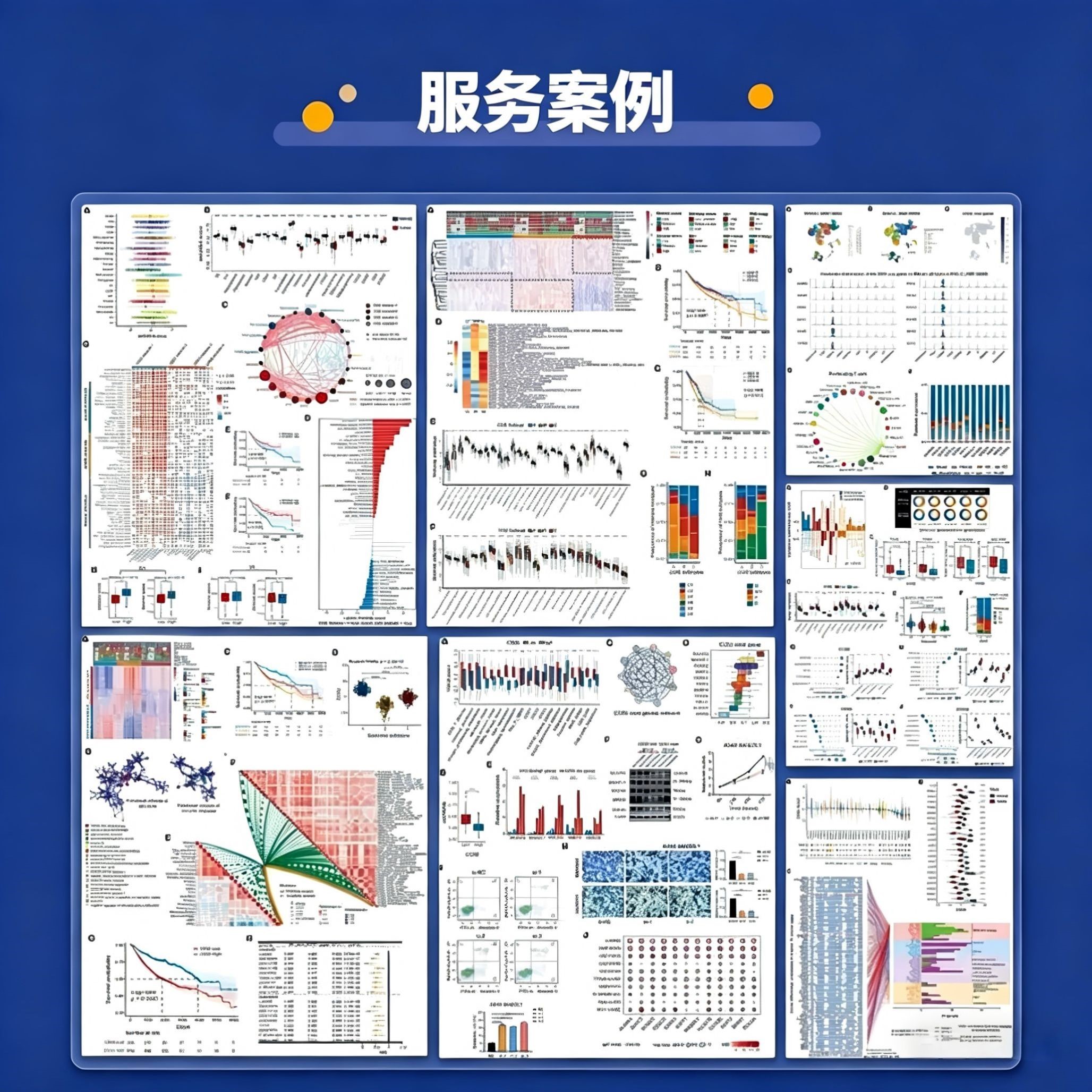 科研绘图代画 代做 环形热图 火山图 森林图 基因流分析