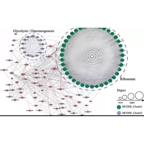 生信分析服务数据生信作图单细胞测序TCGA/GEO数据挖掘SCI定制