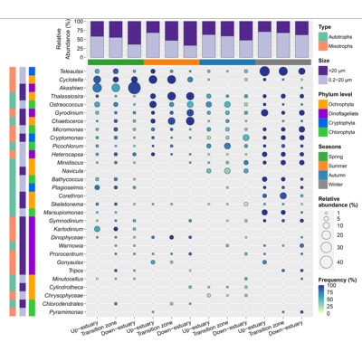 16s/18s/ITS扩增子/宏基因组测序数据分析制图 R代做辅导定制分析