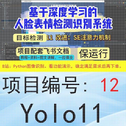 Python深度学习项目系统大全1-30（看好序号进行选择下单）