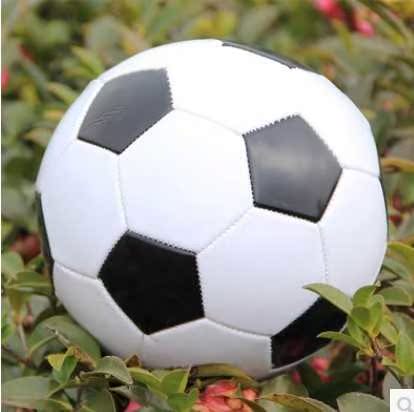 Ballon de football - Ref 7496 Image 3