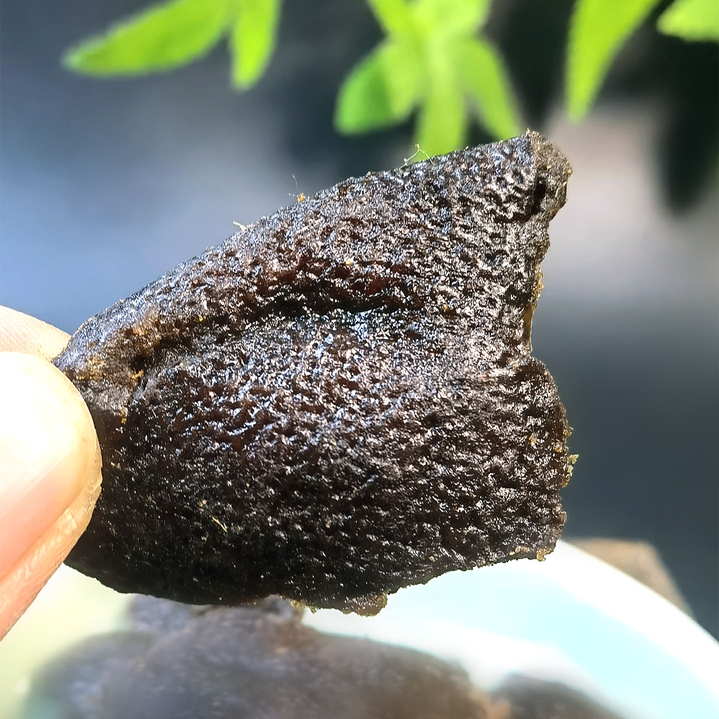红糖老陈皮广东新会香港澳门热销零食特产泡水即食旅游休闲小零嘴