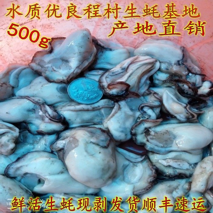 广东阳江,台山中小蚝肉程村生蚝产地直销