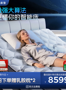 【政府补贴】Serta/舒达梦享A1/A2 智能床88Z智能两件套多功能