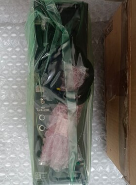 议价PW302 SB301 RB401 AIP502 RB 工业工控自动化模块维修