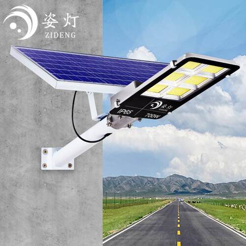 姿灯（ZIDENG） 太阳能路灯灯户外照明庭院灯新农村家用庭院灯室