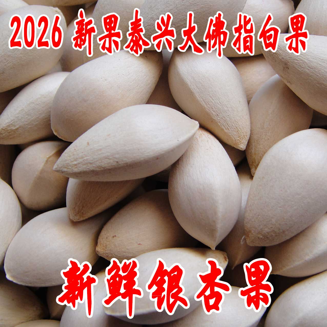 包邮2026年新鲜大颗带壳白果银杏果无漂白泰兴白果生白果