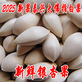 包邮 2025年新鲜 3斤全国大部分 银杏果不漂白 泰兴大佛指白果