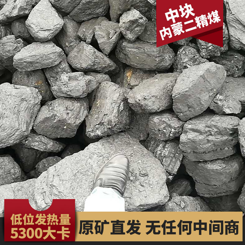 原矿直发内蒙煤二精煤蒸气锅炉用煤烤烟煤烤茶煤中块烟煤煤炭