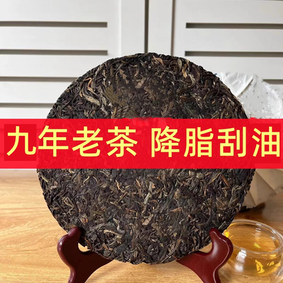 刮油茶老茶珍藏9年生普洱茶