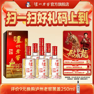 泸州老窖六年窖头曲38度浓香型