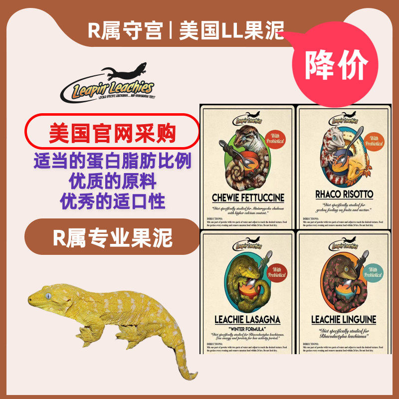 睫角爬宠巨人守宫盖勾亚LL果泥