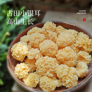 椴木小银耳仿野生小银耳干货非通江椴木雪耳糯耳孕妇白木耳莲子羹