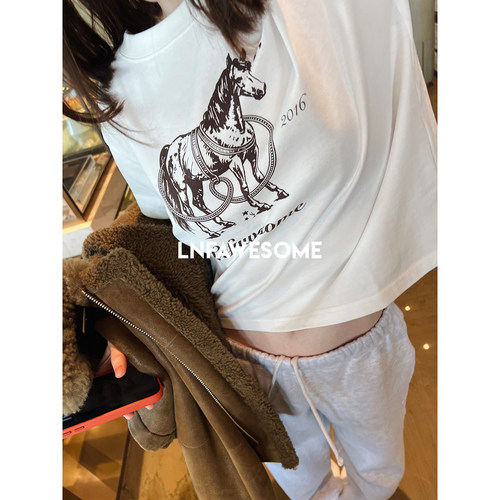 高支全棉小马印花四季短款T恤