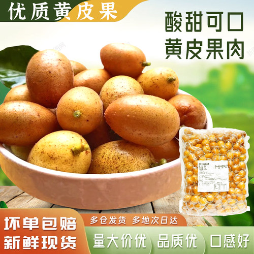 广东郁南无核新鲜黄皮果冷冻黄皮果新鲜鸡心黄皮水果现摘无籽黄皮