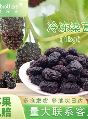 新鲜水果冷冻桑椹子桑蔗桑枣桑果桑泡儿桑葚桑椹媲树莓泡桑葚茶