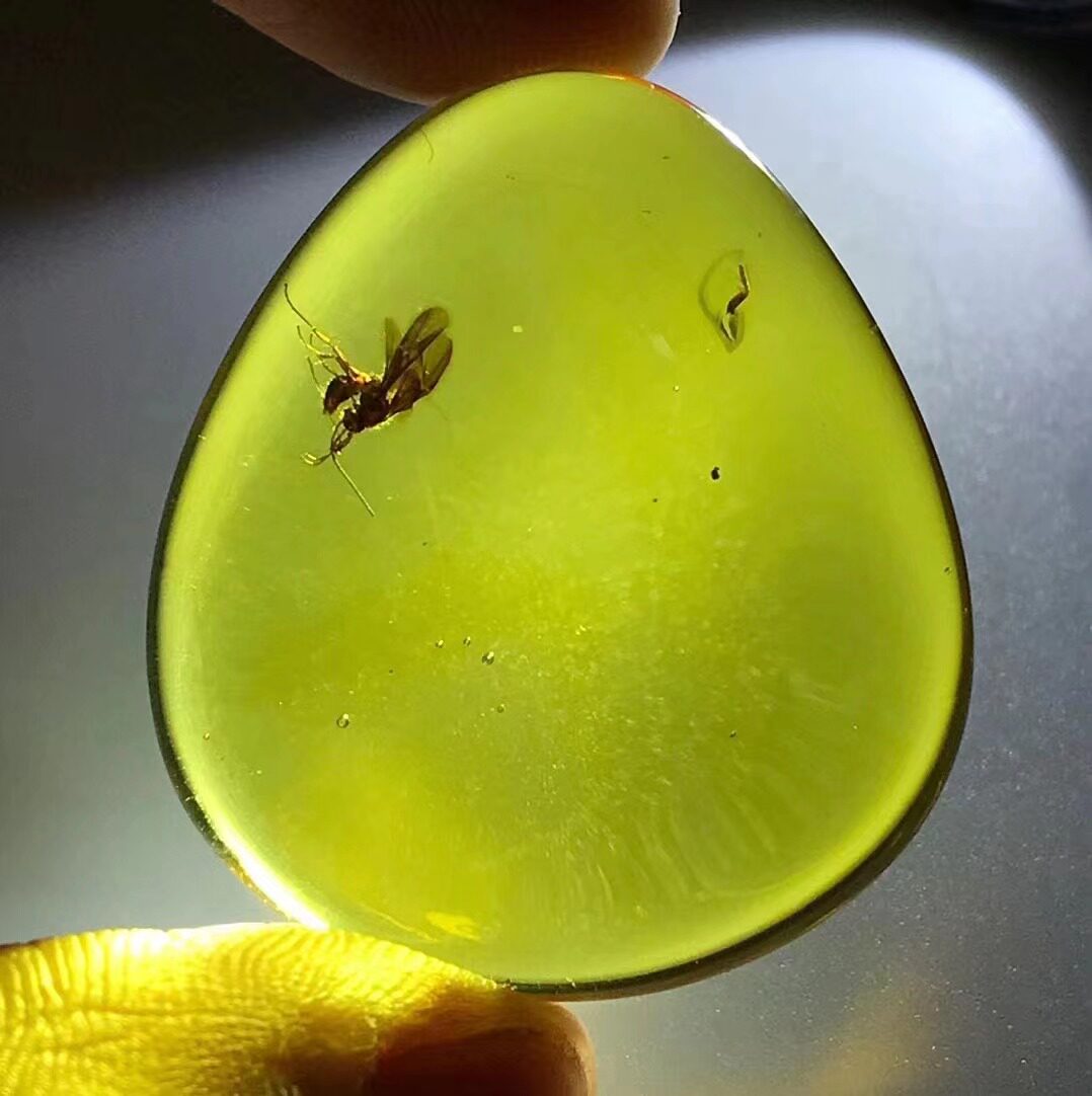 时代珠宝天然琥珀虫珀吊坠项链昆虫标本蜂蚁原石裸石男女配戴正品