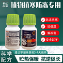 植物防冻液抗冻剂防寒果树抗寒树木防冻花卉蔬菜草莓农用抗冻液剂