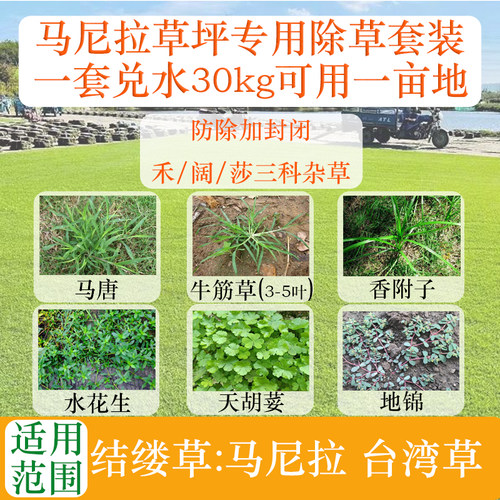 马尼拉台湾草草坪专用全能除草剂