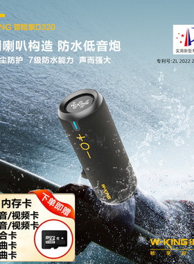 维尔晶D320音箱30W功率7级防水