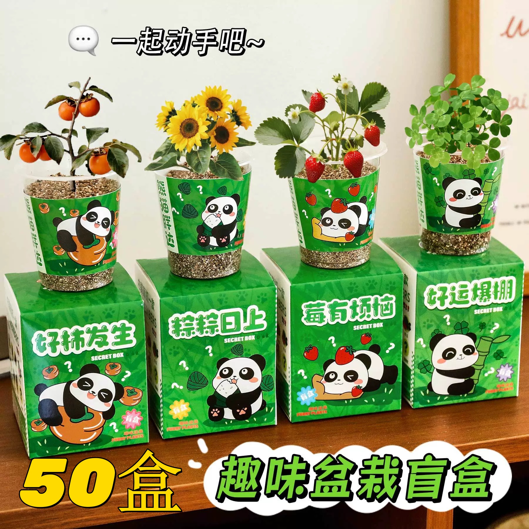 熊猫种植盆栽盲盒小学生奖品