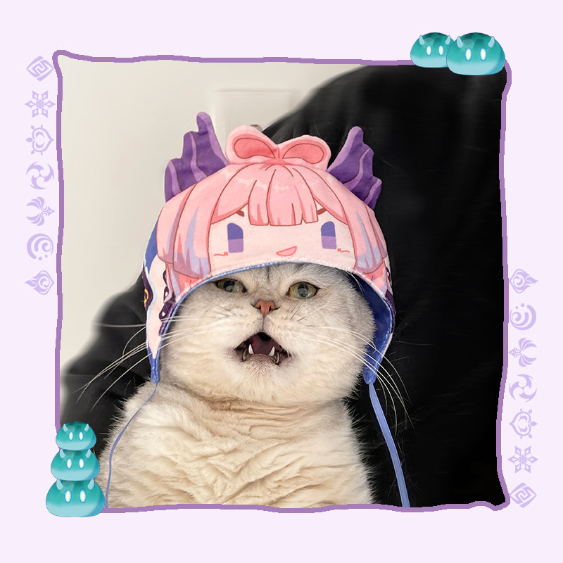 原神心海宠物头套猫咪珊瑚宫大人可爱帽子稻妻小狗cos头饰拍照装