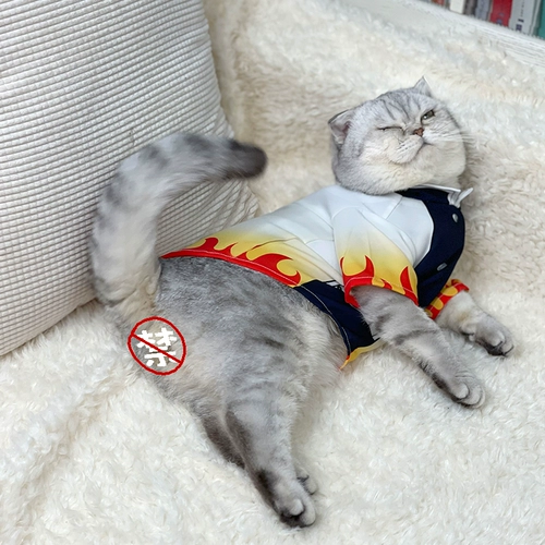 Ghost Destroyer Pet Petting Products Big Brother Purgicaly Purgical Apricot Shoulang Cat Clothing Dog Boed Boed Ghost Kill Team T -Fish Clothing