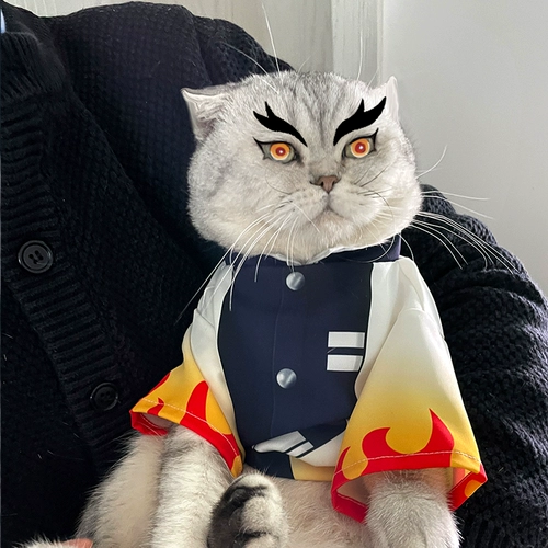 Ghost Destroyer Pet Petting Products Big Brother Purgicaly Purgical Apricot Shoulang Cat Clothing Dog Boed Boed Ghost Kill Team T -Fish Clothing