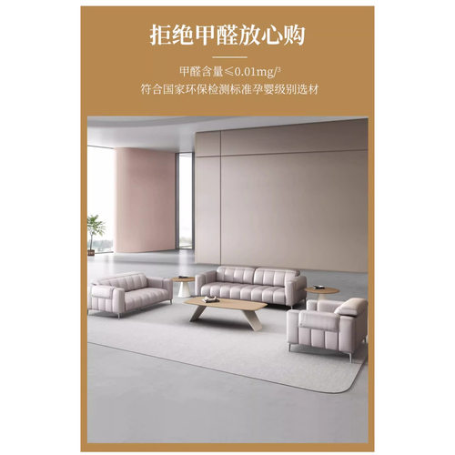 珺威 北欧轻奢纳帕西皮沙发小户型会客现代简约双直排沙发组合