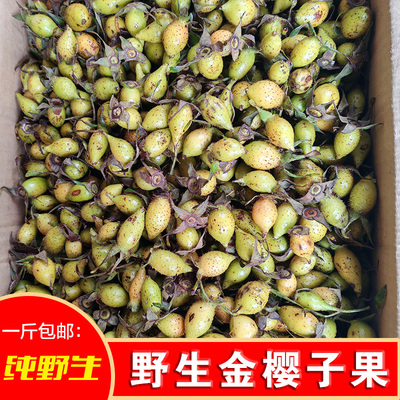【5斤】野生金樱子鲜果泡酒货现摘今年金樱子3斤果子刺梨果新鲜