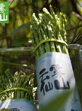 农家自产自销新鲜芦笋1500g 现摘现发蔬菜四川巴中恩阳印盒山特产