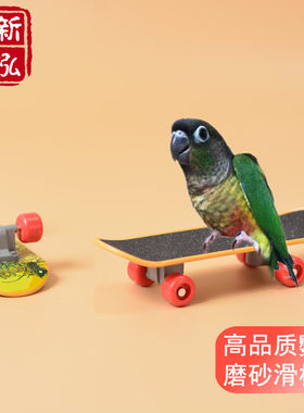 高品质 中小型鹦鹉磨砂滑板车 鹦鹉益智训练玩具磨脚抓板训鸟工具
