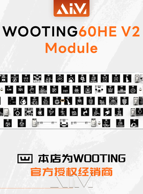 WOOTING官方授权全新Wooting60HE v2Module模组最新批次磁轴键盘