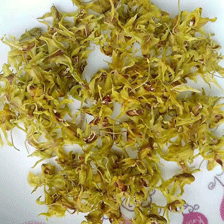 乐清雁荡山铁皮石斛花干花 鲜条 铁皮枫斗 养身花茶叶泡茶泡酒