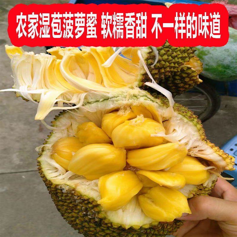 湿包菠萝蜜软糯广西湿苞菠萝蜜当季水果新鲜热带水果大树榴莲菠萝
