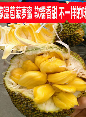 湿包菠萝蜜软糯广西湿苞菠萝蜜当季水果新鲜热带水果大树榴莲菠萝