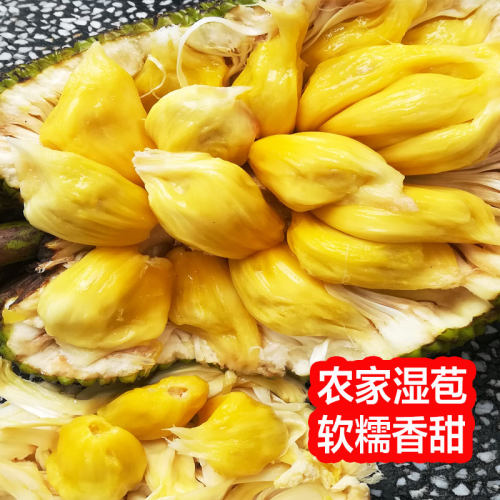 广西湿苞菠萝蜜新鲜现摘菠萝蜜湿包软糯热带水果应季木菠萝6-18斤