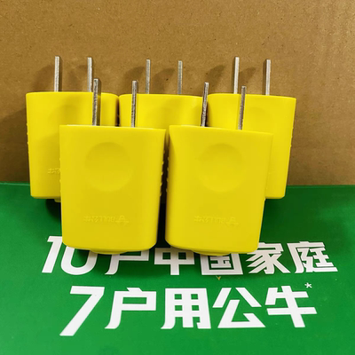 公牛插头10A二头两脚接线摔不烂