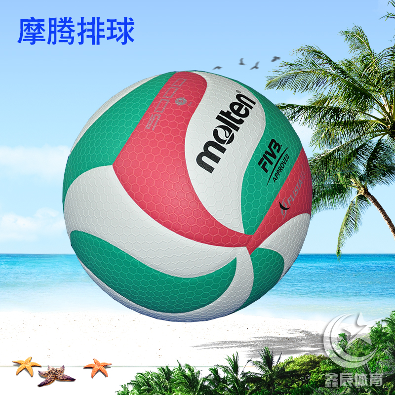 Ballon de volley-ball - Ref 2010984 Image 3