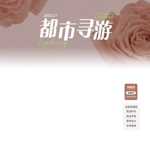 252原创直播间贴片装修模板电商抖音全品类促销标签PS设计源文件