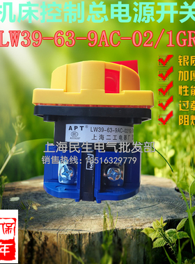 控制柜负载断路机床电源总开关LW39-63-9AC-02/1GR挂锁ON/OFF一节