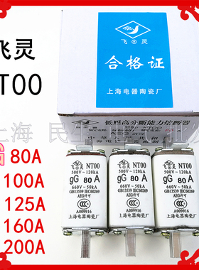 方块刀型低压熔断器 NT00 gG80A 100A 125A 160A熔断体芯子 660V