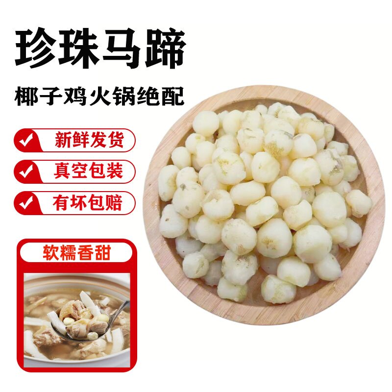 海陵岛阳光珍珠马蹄新鲜椰子鸡火锅配菜削皮小马蹄小荸荠火锅食材