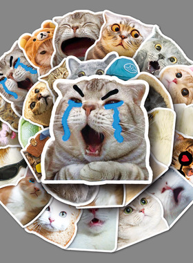 65pcs Funny Cute Cat Meme Stickers Kid Toy Scrapbook Noteboo