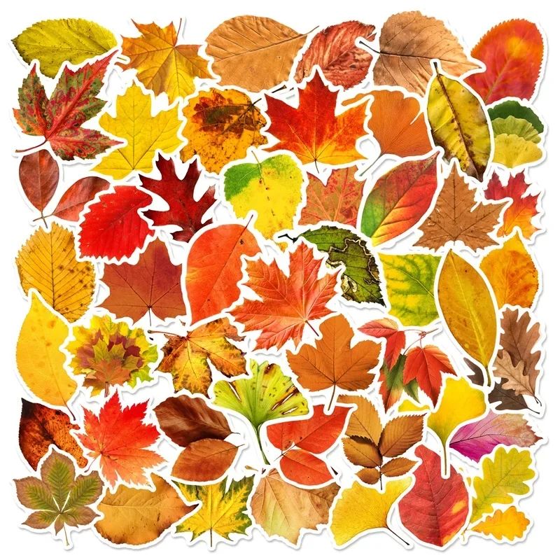 10//60PCS Fallen Leaves PVC Sticker Aesthetic Children's Dec