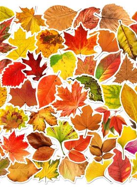 10//60PCS Fallen Leaves PVC Sticker Aesthetic Children's Dec