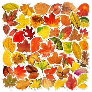 Sticker Dec PVC Children Leaves Fallen 60PCS Aesthetic