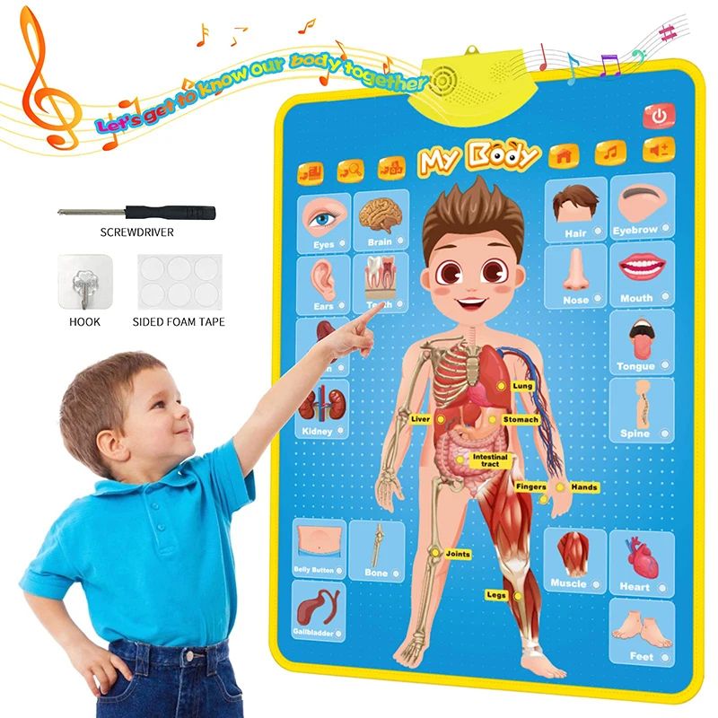 Electronic English Alphabet Wall Chart Talking ABC Letters 1