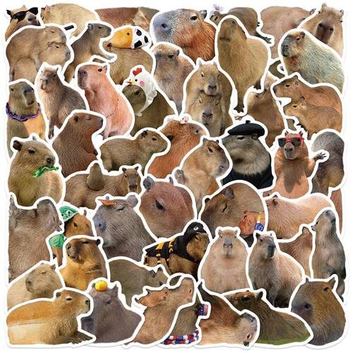 10/50PCS Cute Capybara Animals Graffiti Stickers DIY Phone G